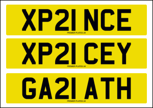 Exclusive 21 Plates